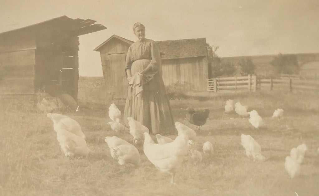 Woman standing with chickens in a rural setting