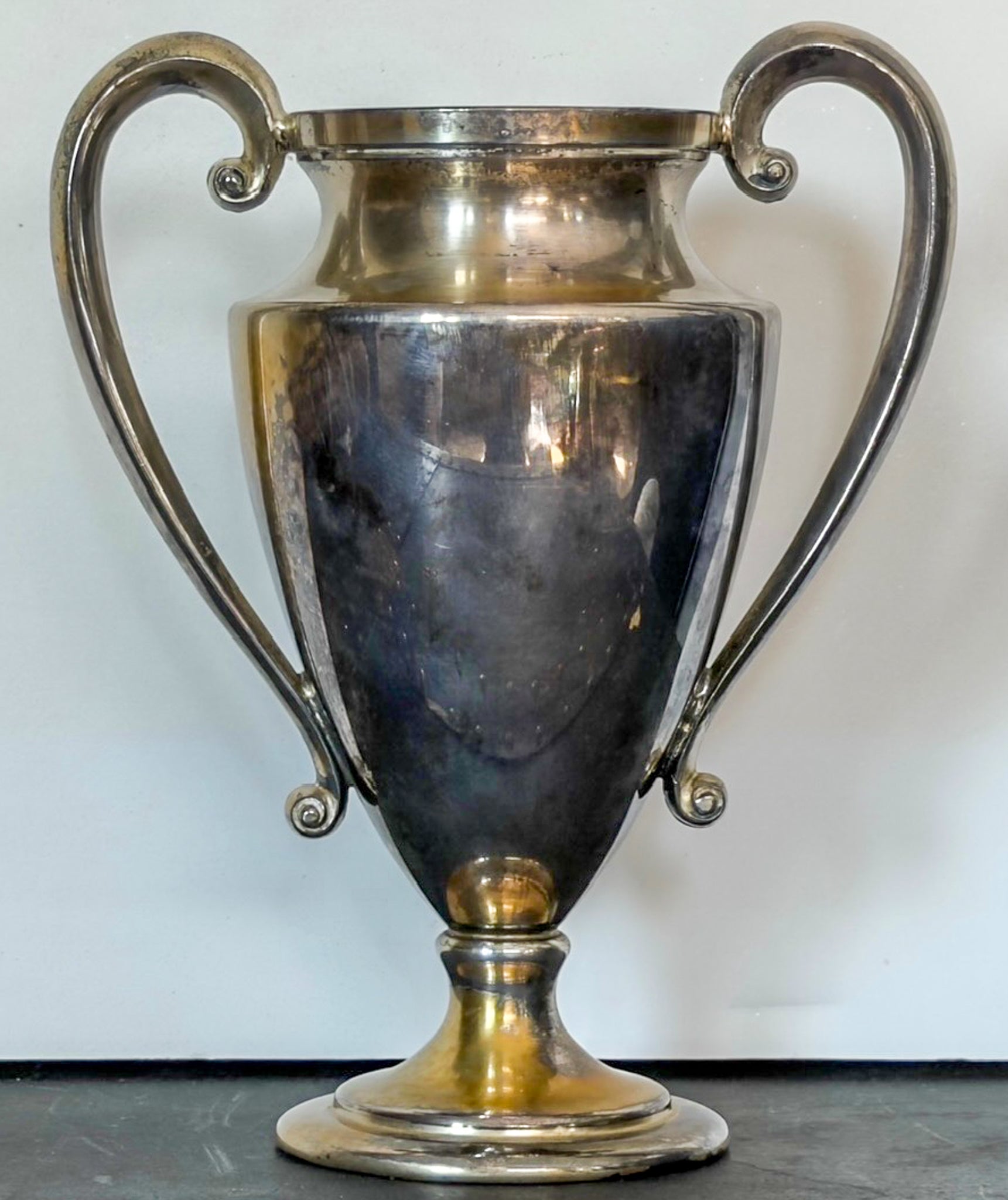 Silver trophy cup with two handles on a white background