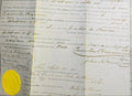 Document with handwritten text and a yellow flower on a gray background