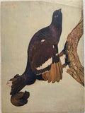 Painting of a bird perched on a branch with a textured beige background