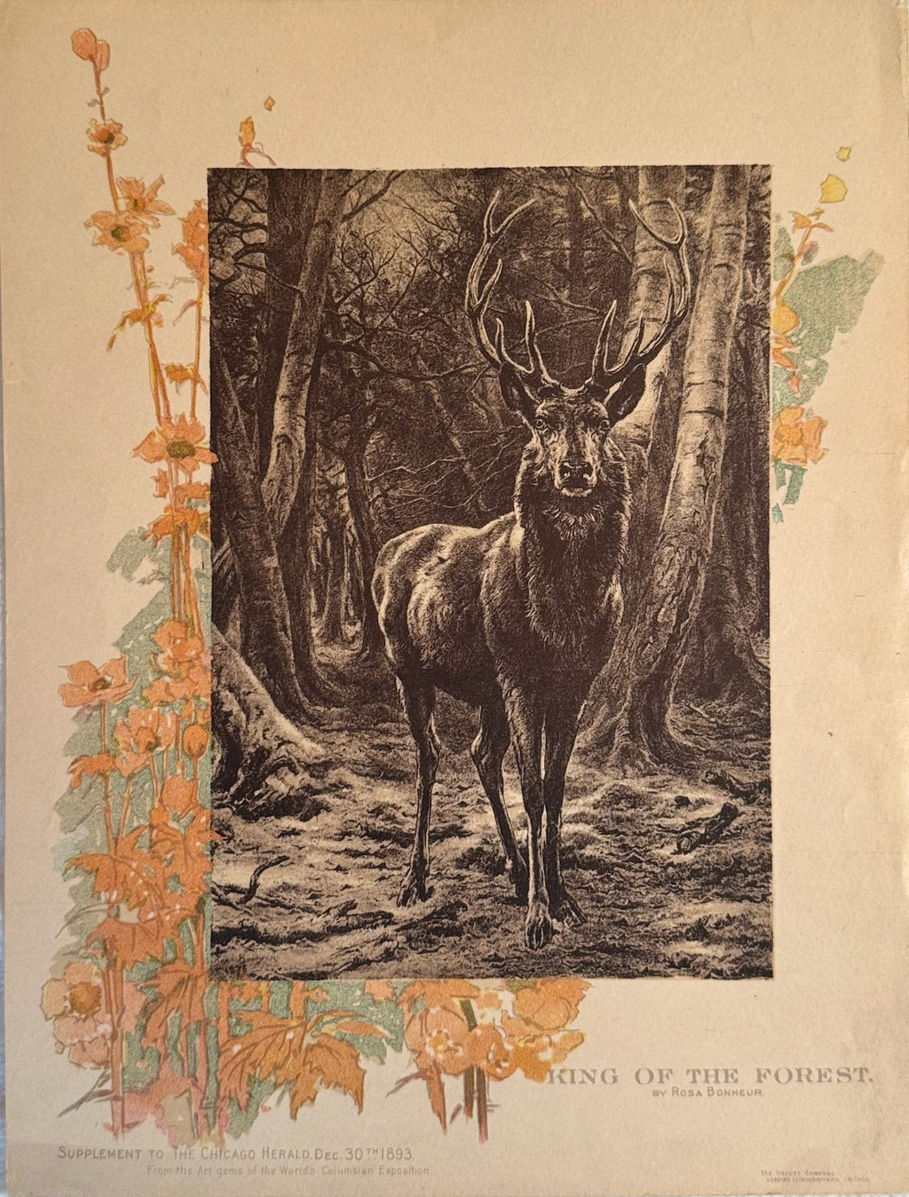 Vintage-style illustration of a deer in a forest with decorative elements on a textured surface.