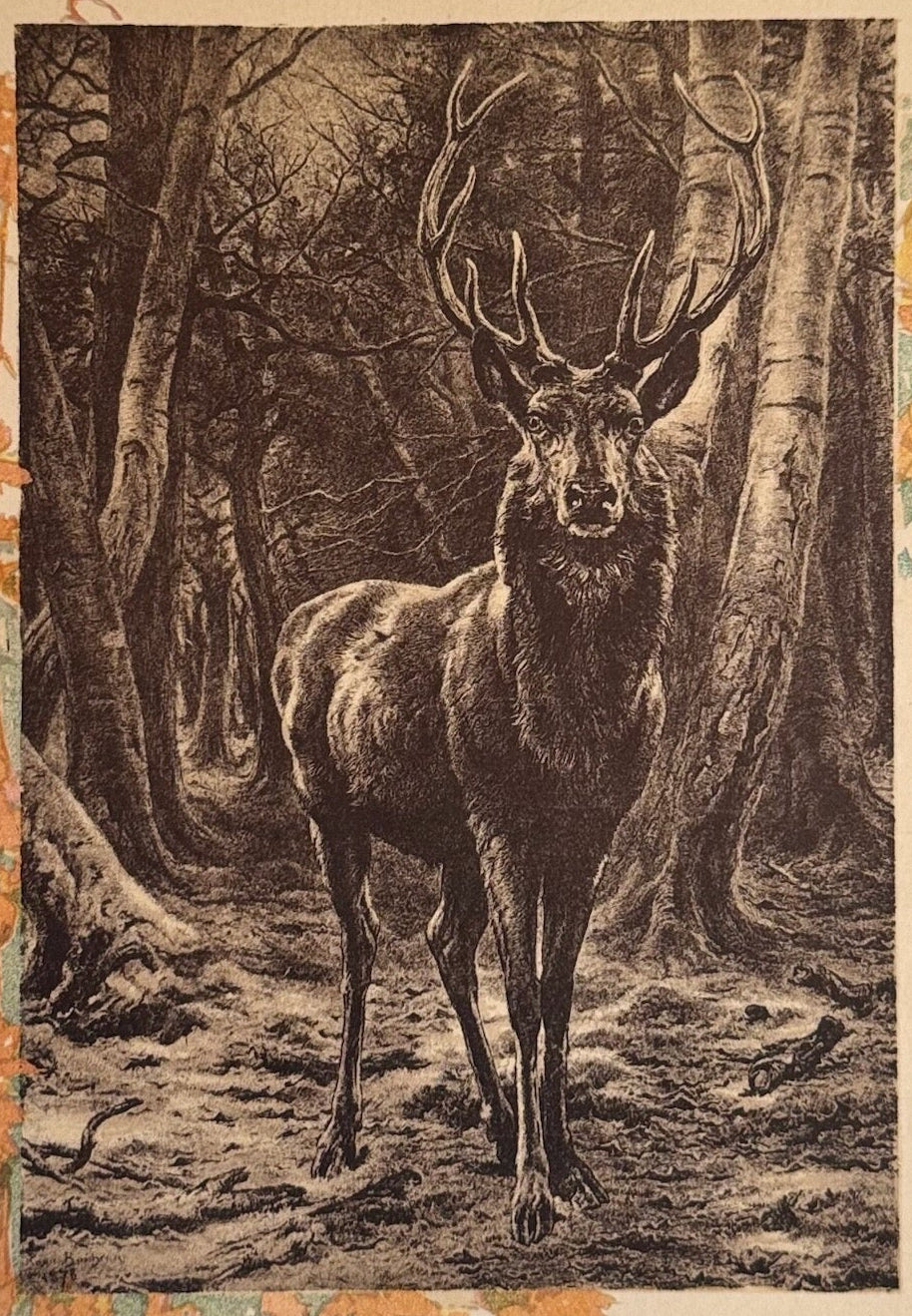 1893 Chicago Herald Art Supplement - 'King of the Forest' by Rosa Bonheur
