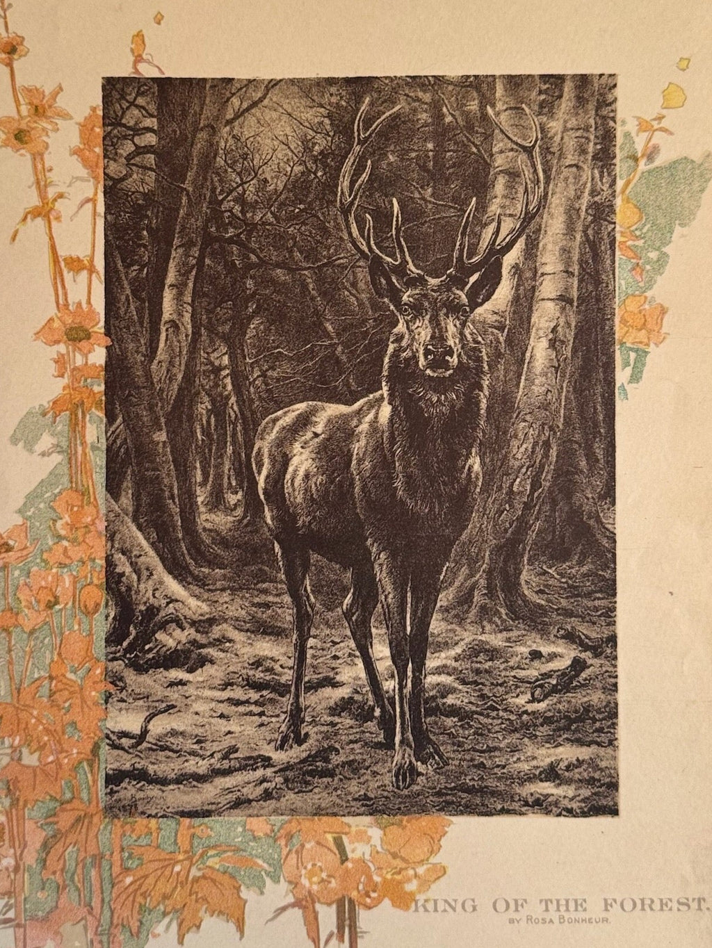 Vintage-style illustration of a deer in a forest with decorative elements on a textured surface.